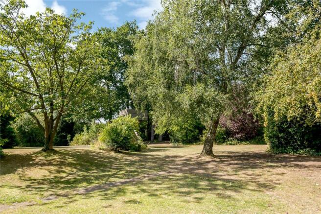 Woodland Garden