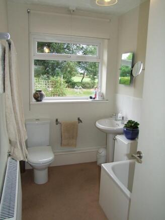 Photo 15