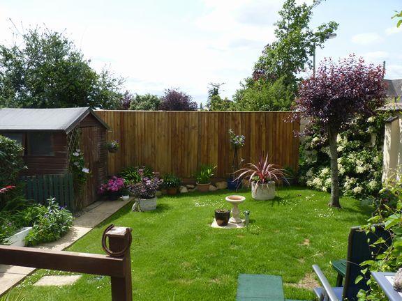 rear garden...