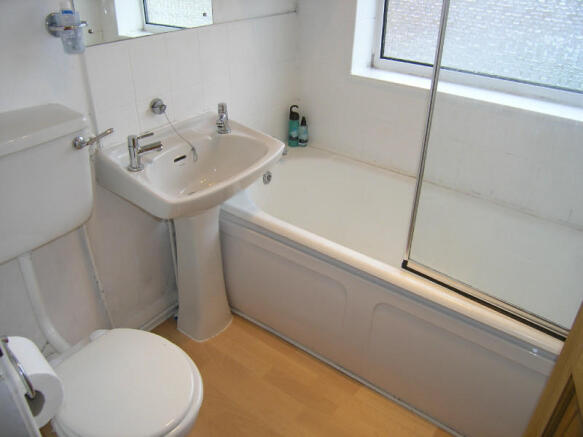 Picture 8