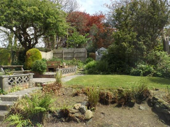 Garden From Kitchen