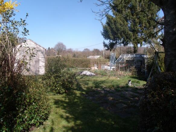 Photo 10