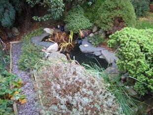 Rear Garden (3)