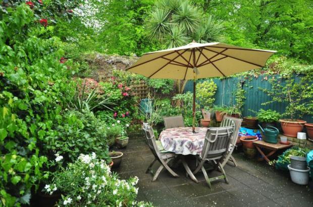 Photo 11