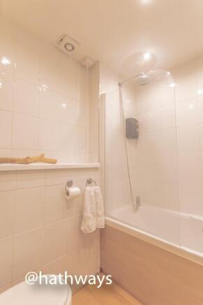 Photo 50