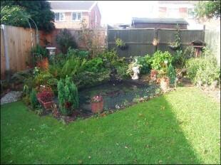 rear of property