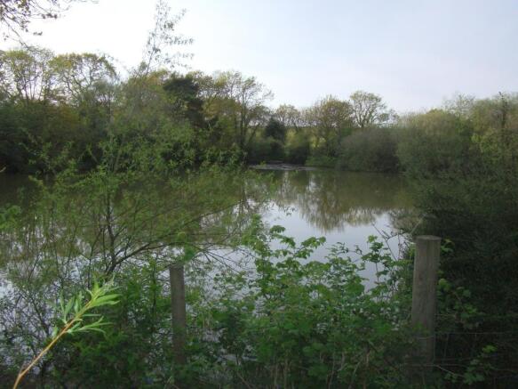 View End Of Garden
