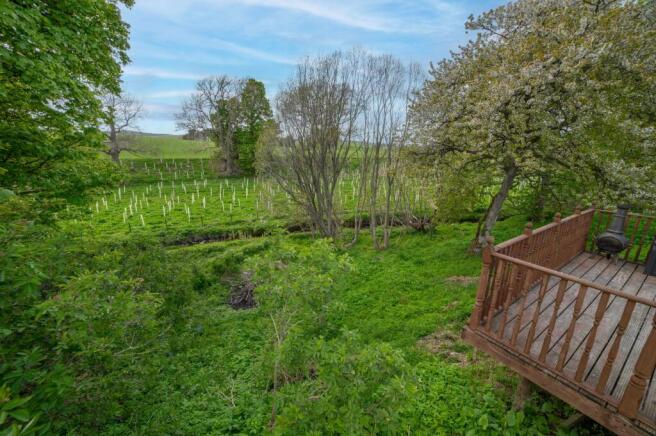 Balcony & Rear Garden
