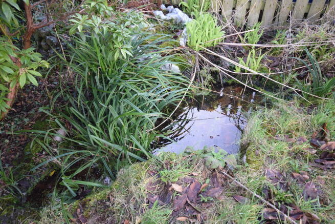 POND