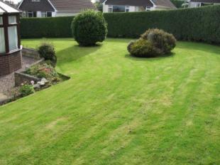 Gardens