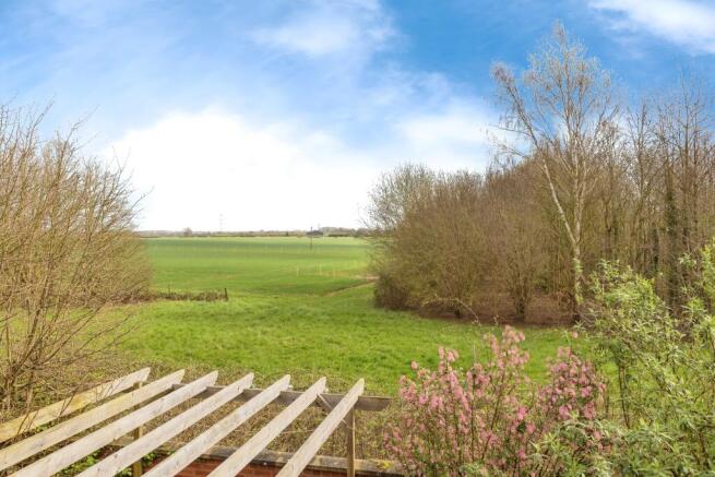 Field Views