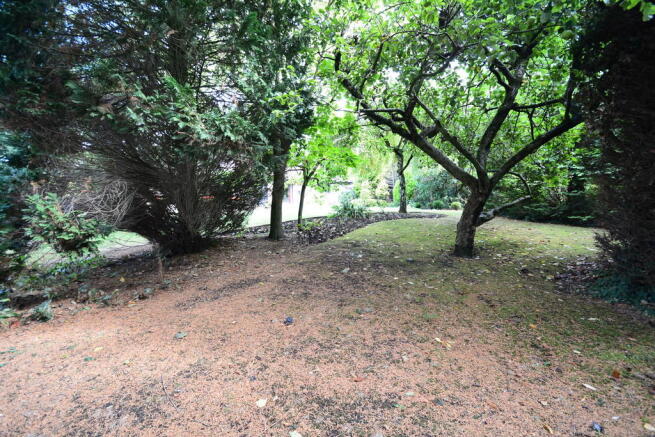 Photo 24