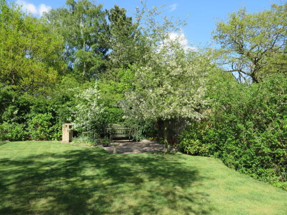 Photo 10