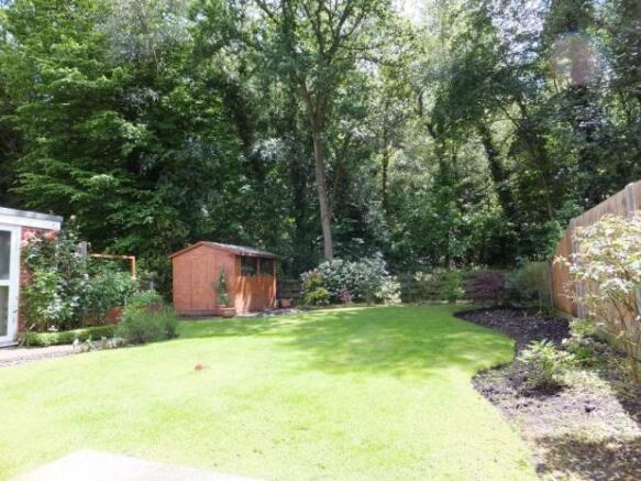 Wooded Copse