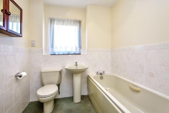 Photo 11