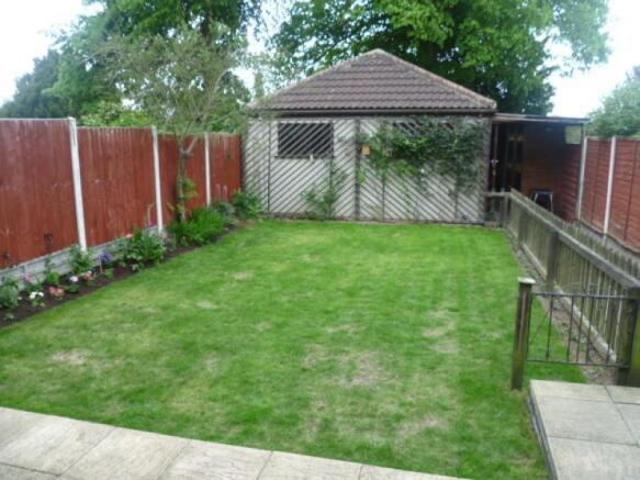 Photo 11