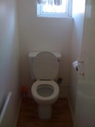Pic 5