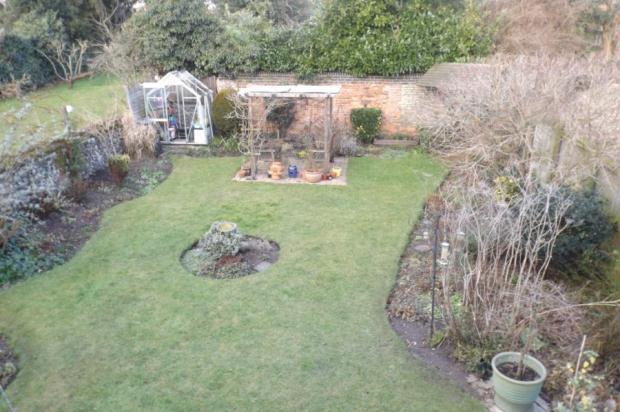 View To Garden