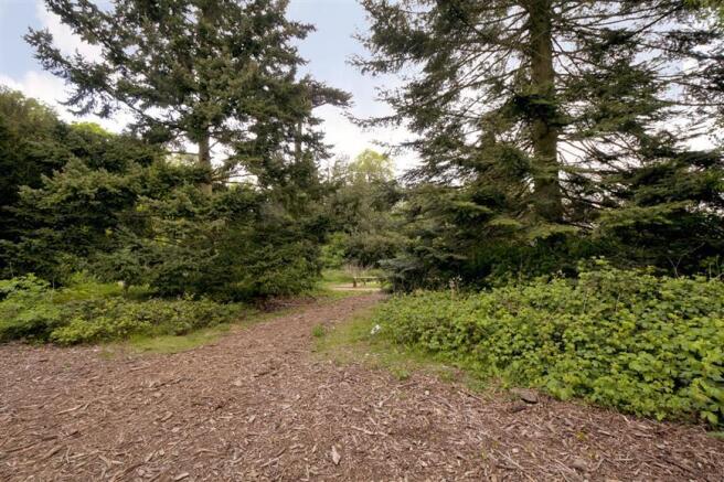 Surrounding Area