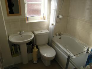 Picture 5