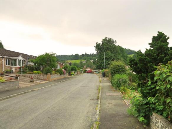 The Street.jpg