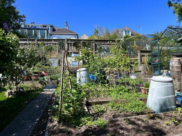 VEG PATCH