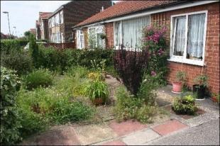 Photo 7