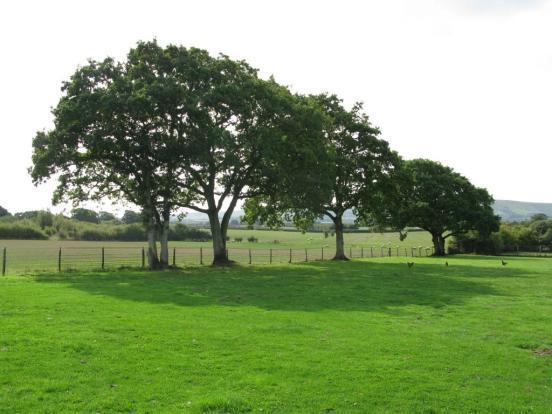 Land