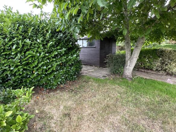 Garden 2.JPG