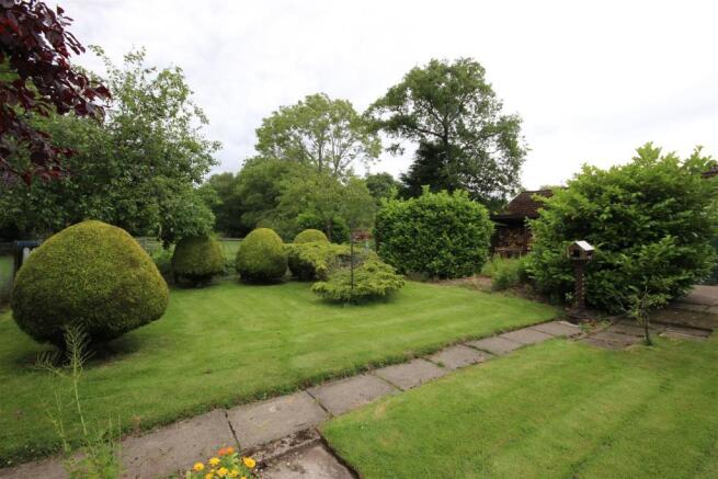 IMG_1244.JPG