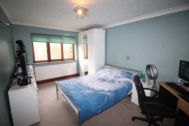 Photo 11