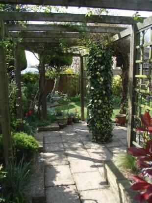 Pergola Area