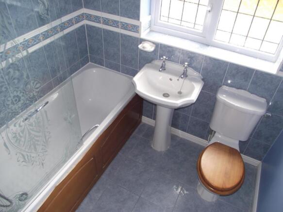 Photo 8