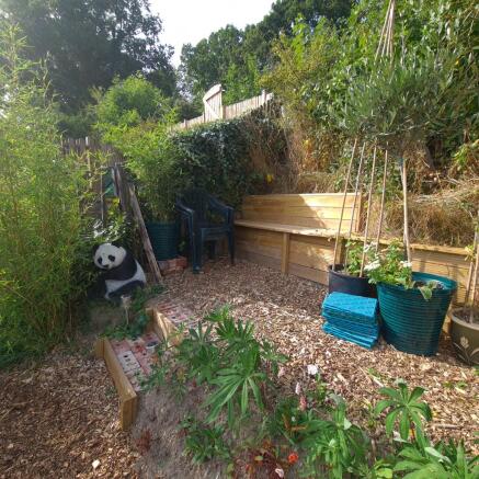 Photo 19