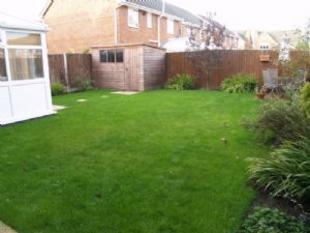 Outside Rear