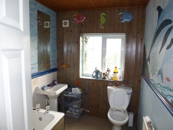Photo 10