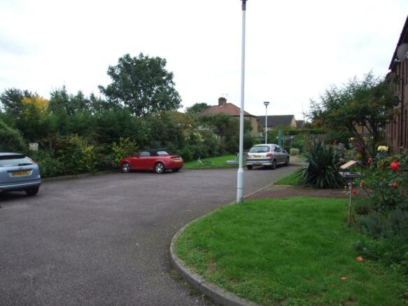 Photo 7