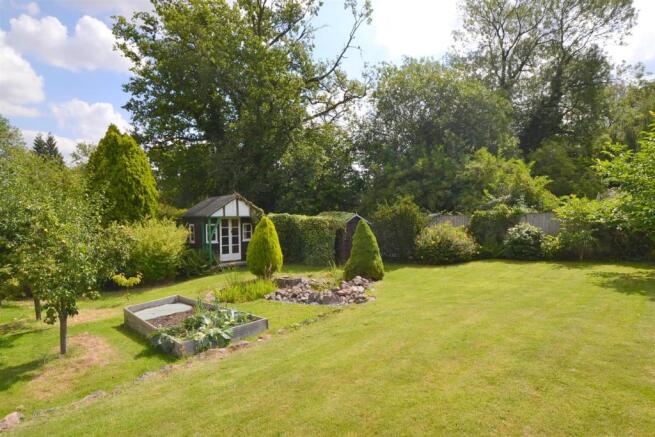 new garden 2.JPG