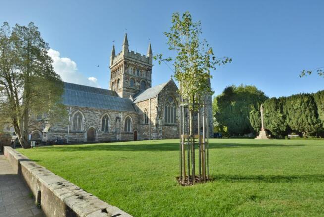 Photo 20