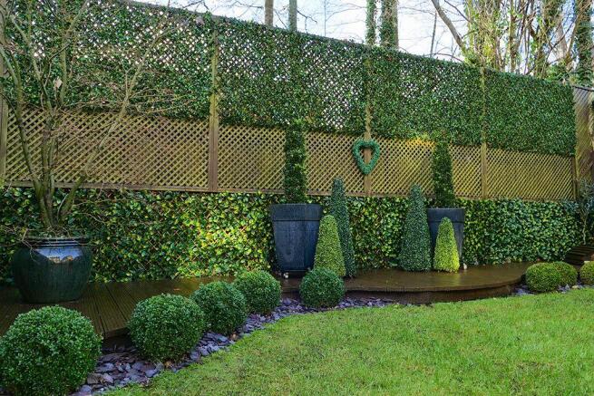 Garden at Back