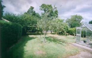 Lawned Rear Garden