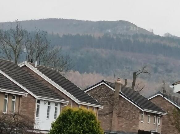 View from Bedroom...