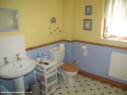 Photo 35