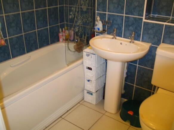 11 waterlily close-b