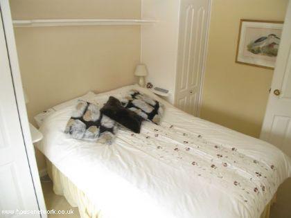 Photo 24