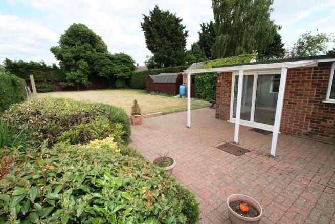 Back garden
