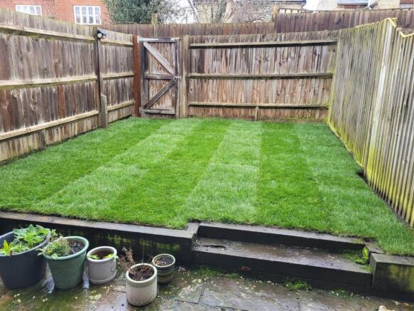 garden (b).jpg
