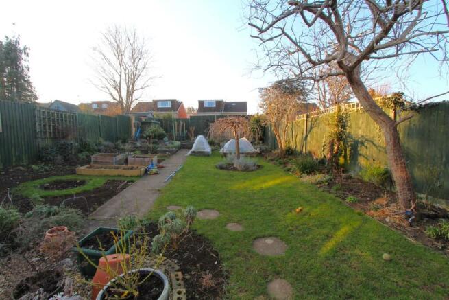 Garden 1.JPG