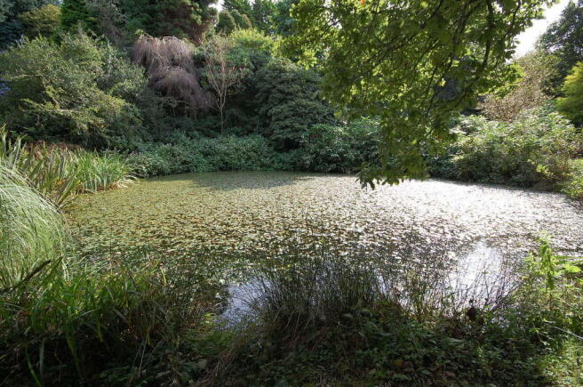Photo 27
