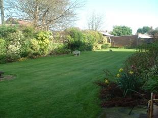 Communal Gardens